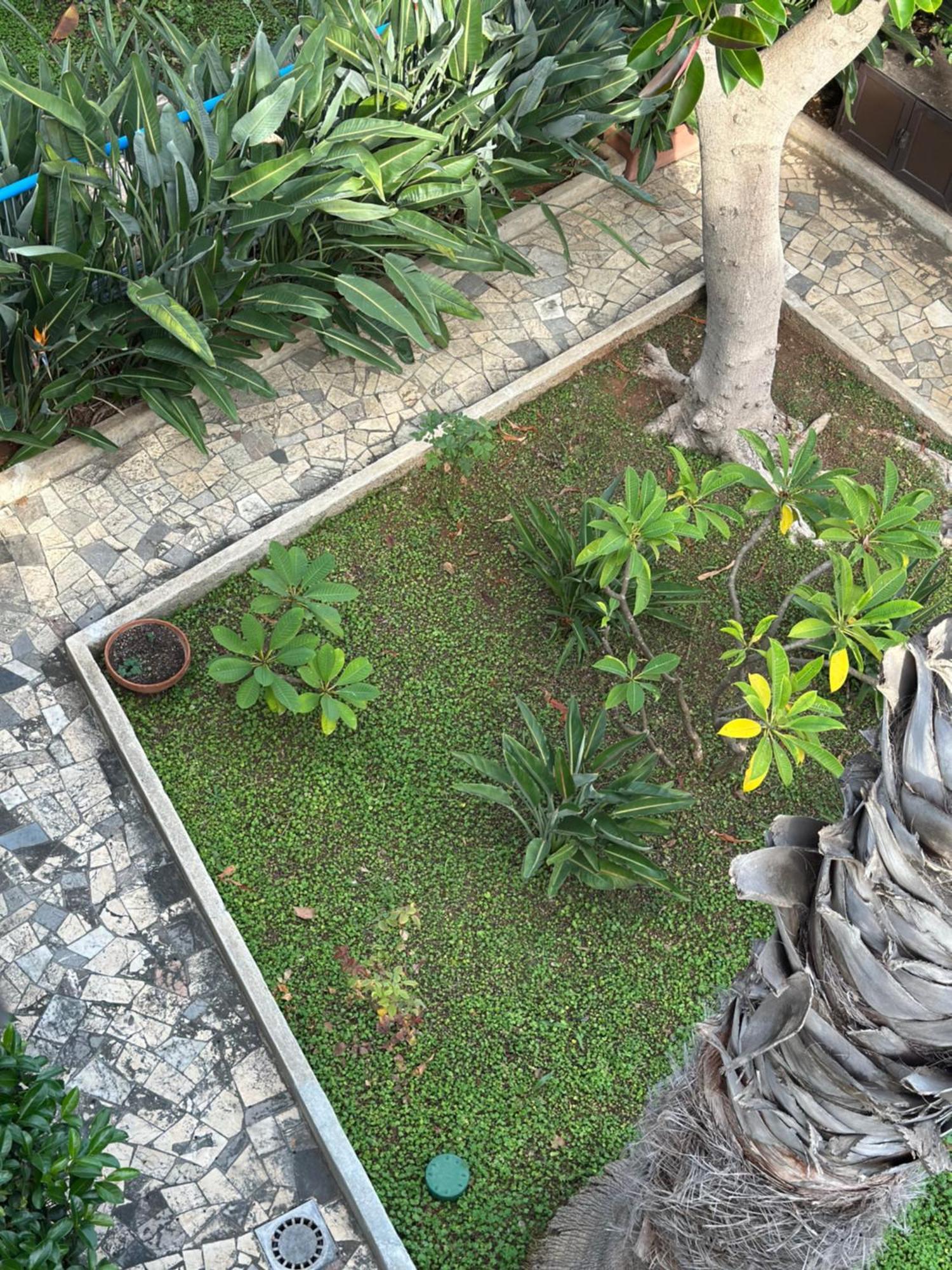 Villa Savoia Mondello Ngoại thất bức ảnh